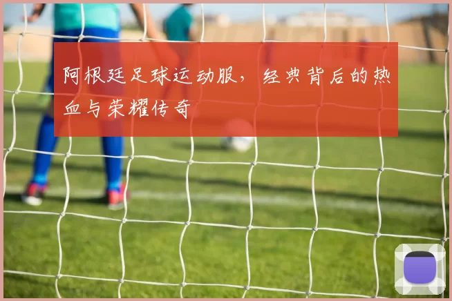 阿根廷足球运动服,经典背后的热血与荣耀传奇