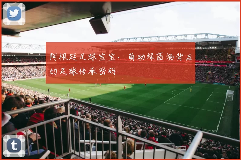 阿根廷足球宝宝,萌动绿茵场背后的足球传承密码