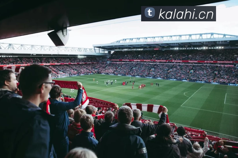 App Interface Preview