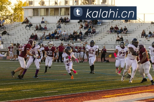 开云(中国)Kaiyun·官方网站 - 登录入口官网APP 封面图